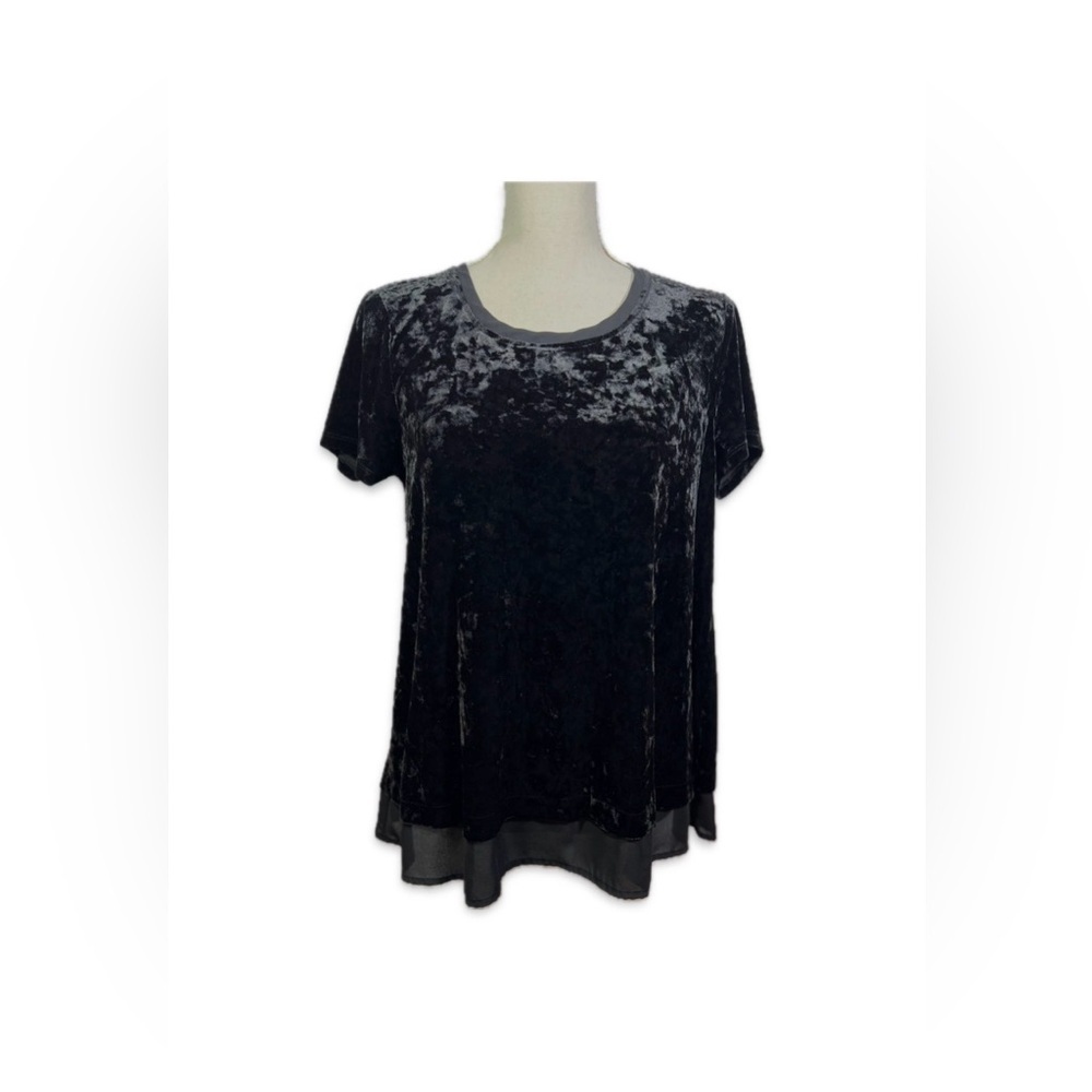 Cupio Black Velvet Short Sleeve Top Size M with Sheer Material Hem